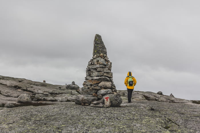 Excursión fiordos Noruega