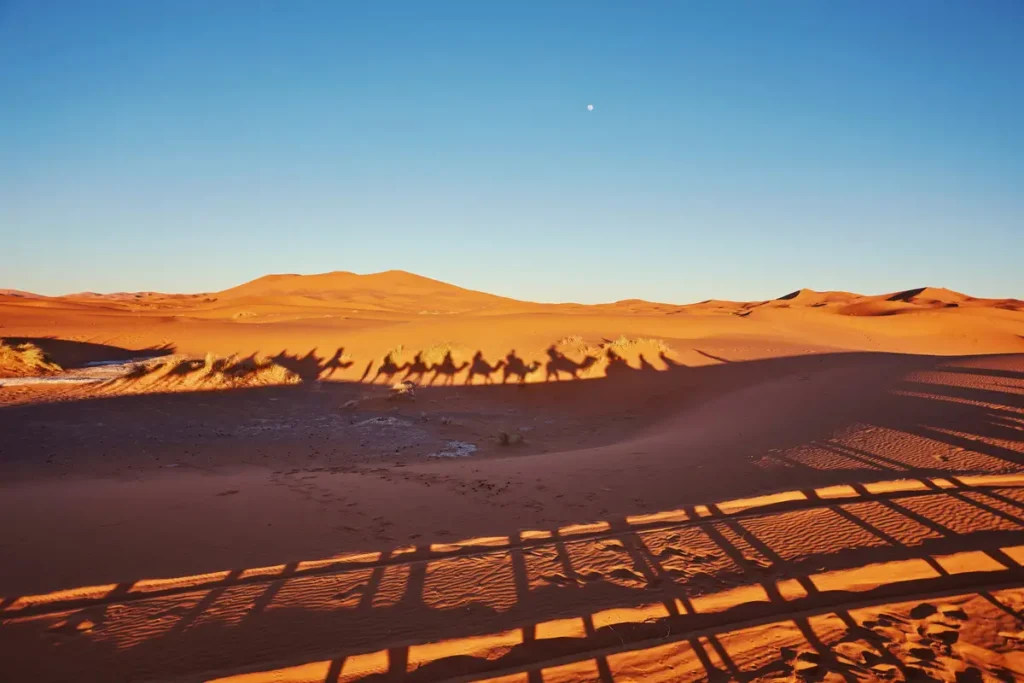 que ver en merzouga